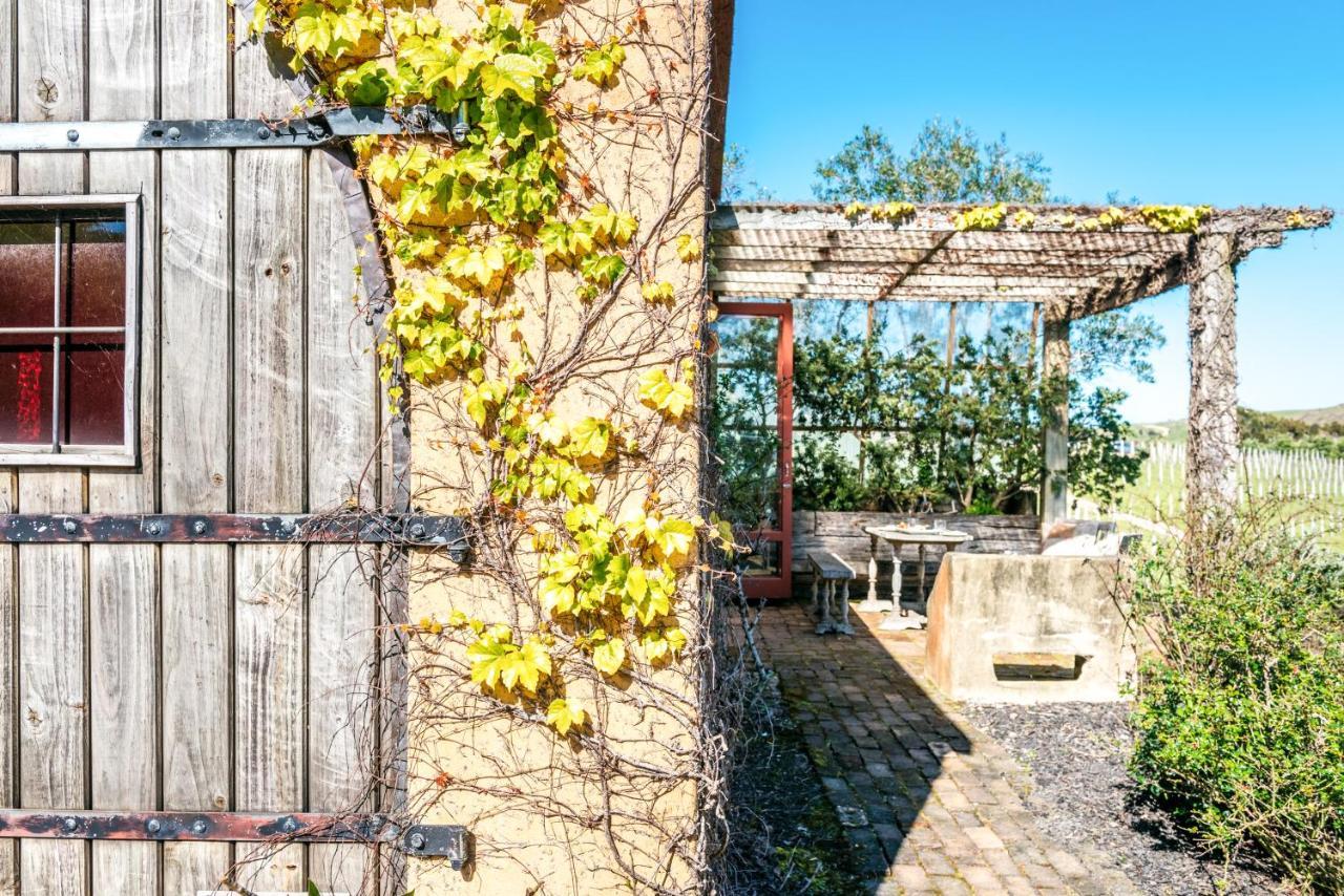 The Vineyard Cottage - Stay Waiheke Onetangi ภายนอก รูปภาพ