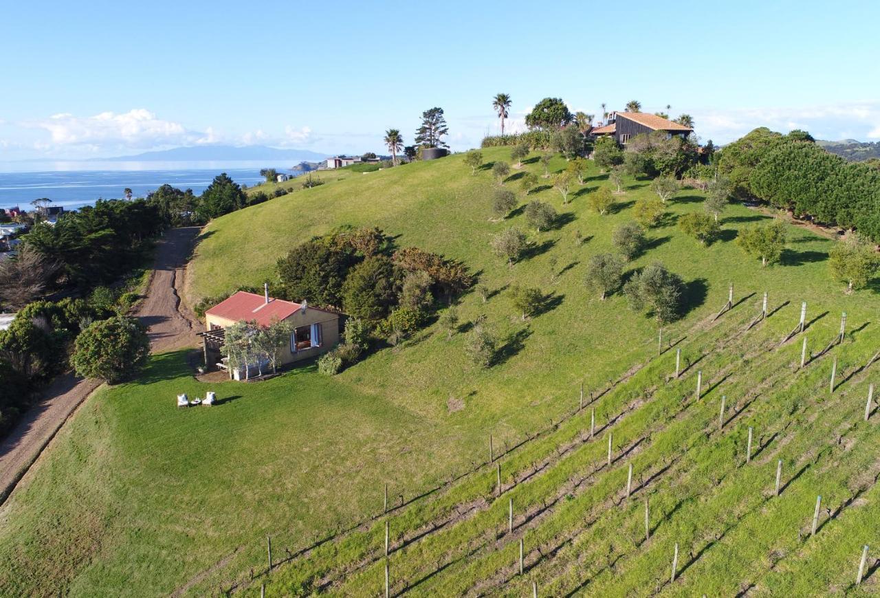The Vineyard Cottage - Stay Waiheke Onetangi ภายนอก รูปภาพ